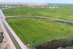 TIMARLI SULAMASI 2 (1)